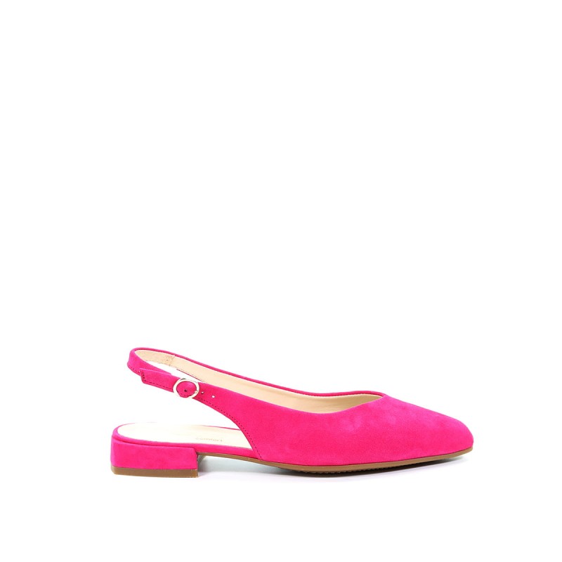 NN213087 4224021 (1).jpg