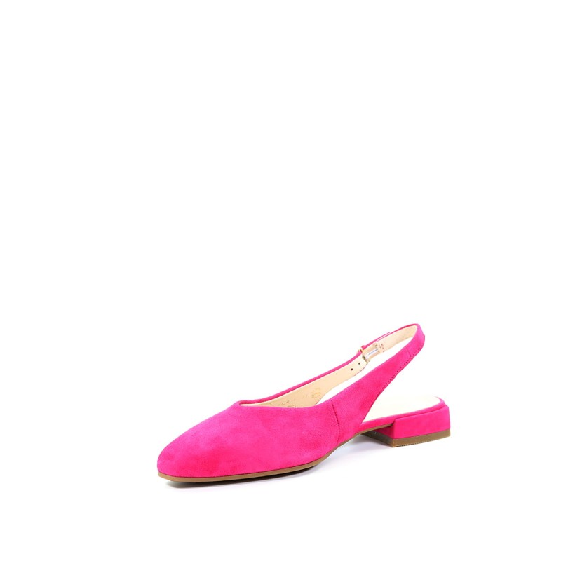 NN213087 4224021 (4).jpg