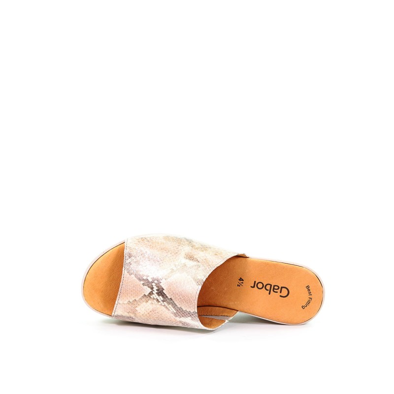 NN213136 4465034 (10).jpg