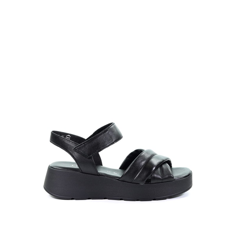 NN213192 4287367 (1).jpg