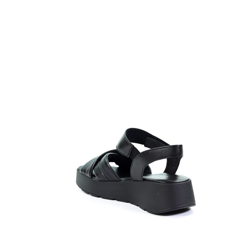 NN213192 4287367 (6).jpg